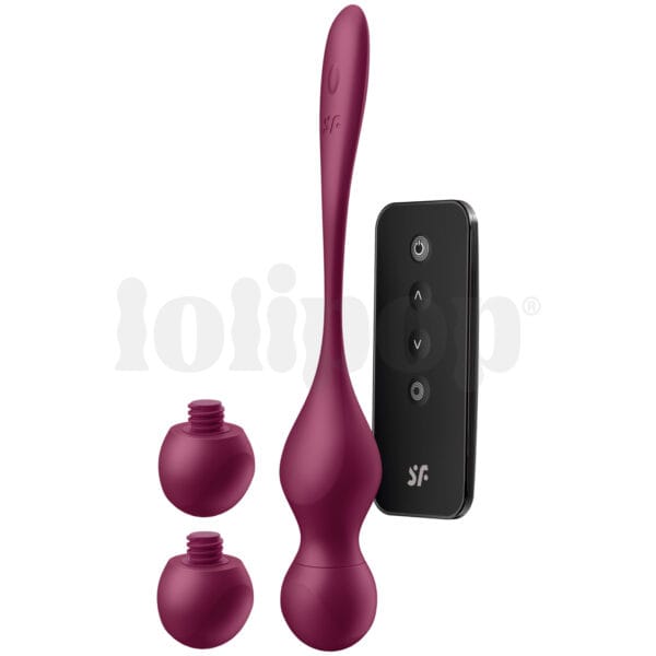 Satisfyer Love Birds Vary Connect App Wine Red